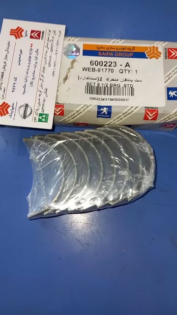 یاتاقان اصلی زانتیا